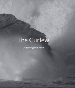 Screen Shot 2018-10-11 at 14.35.56